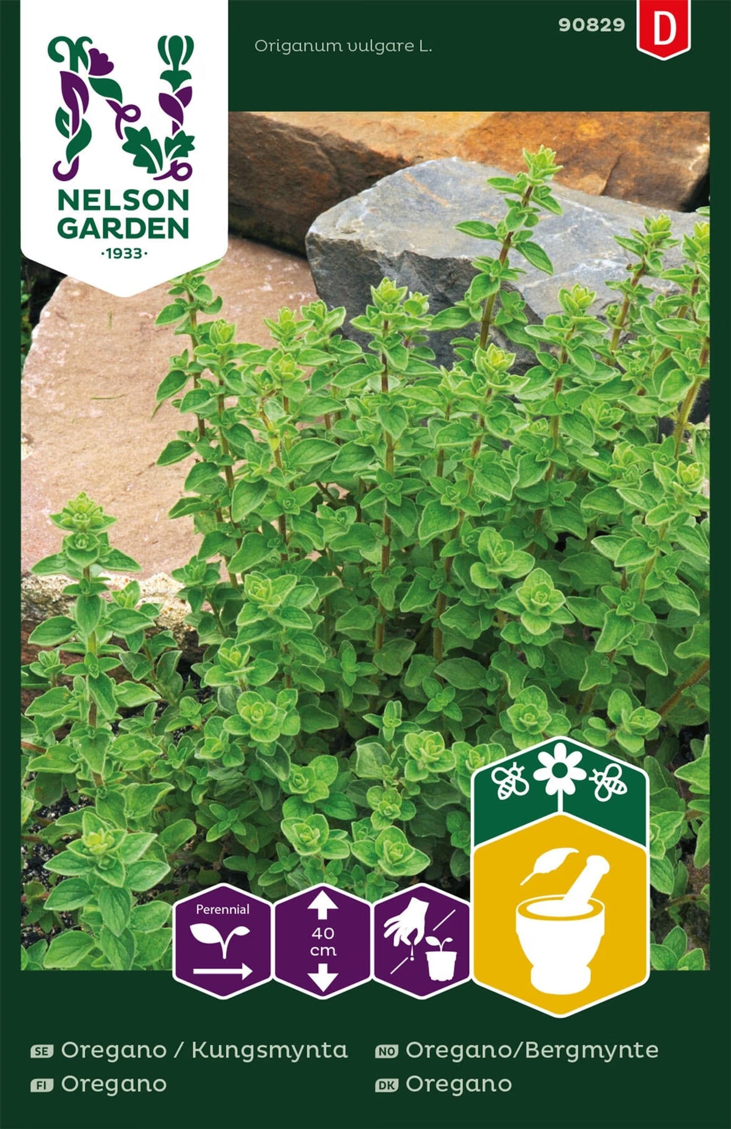 Oregano/Bergmynte