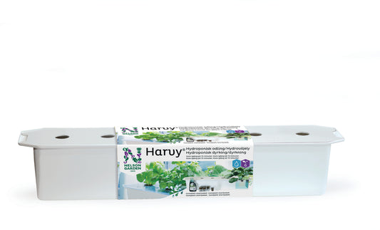 Hydroponisk dyrkingskasse Harvy 6