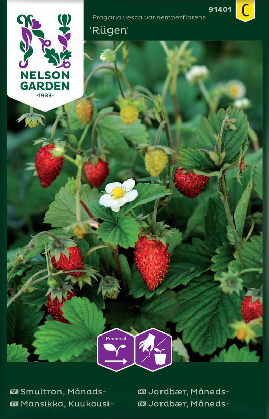 Snack-hagen – Rett fra planten