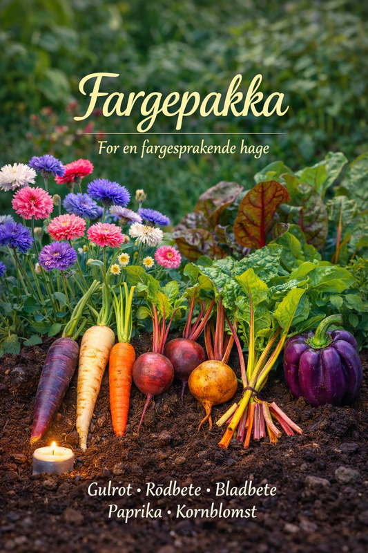Fargepakka – En eksplosjon av farger