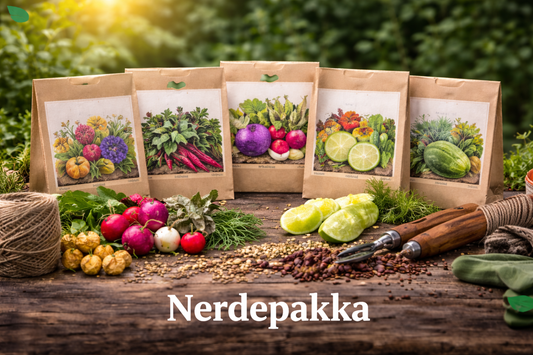 Nerdepakka – For deg som vil prøve noe nytt