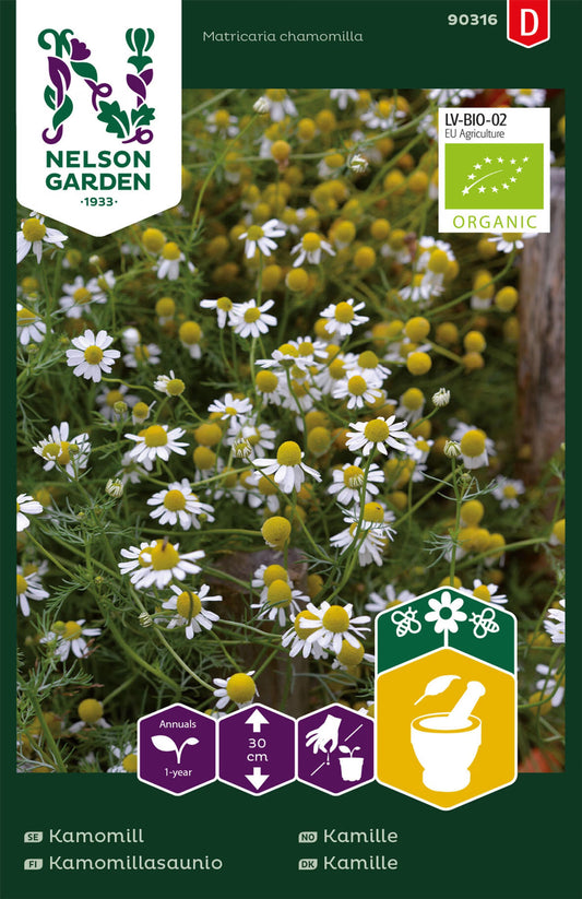 Kamille (Matricaria chamomilla)