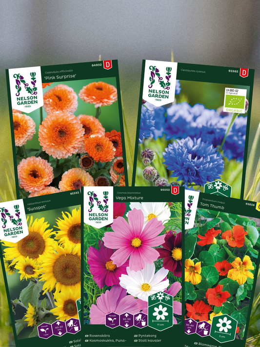 Nybegynnerpakke - Fargerike blomster