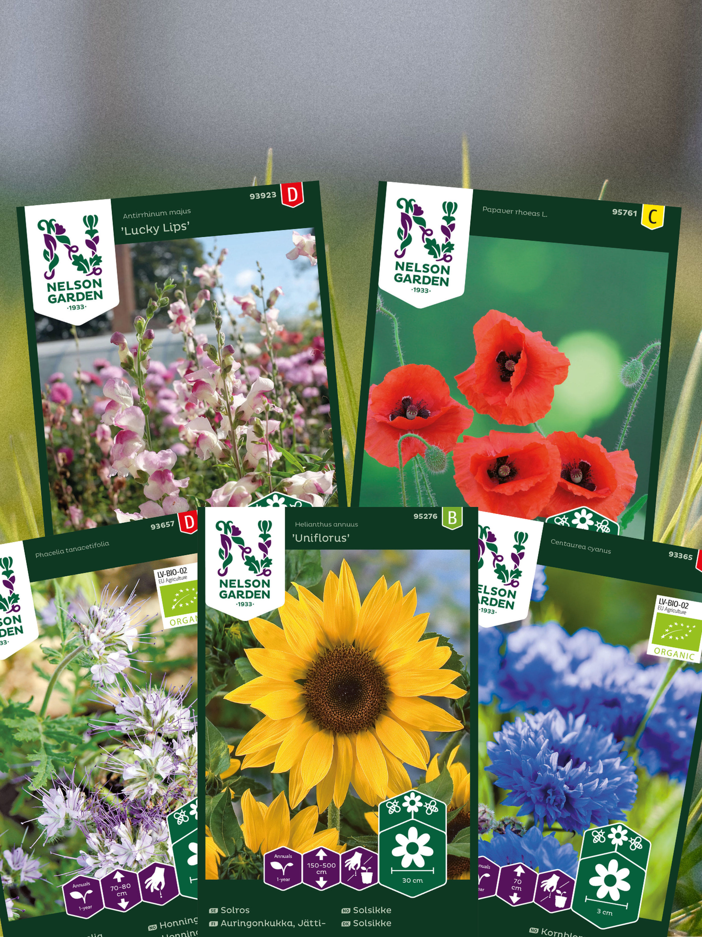 Pollinator vennlig
